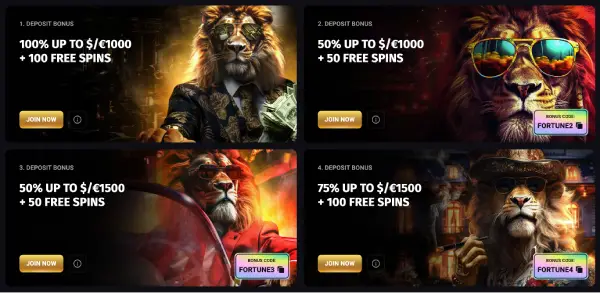 fortuneplay bonus